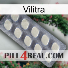 Vilitra 08